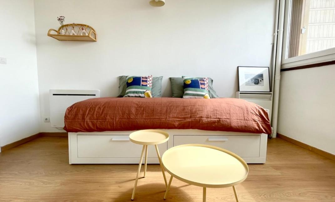 Charming Bright Sunny In Belleville Appartement
